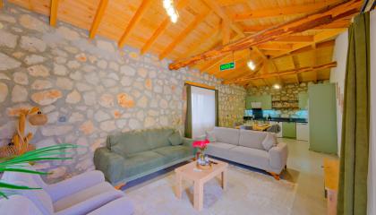 Açık Mutfak - Salon