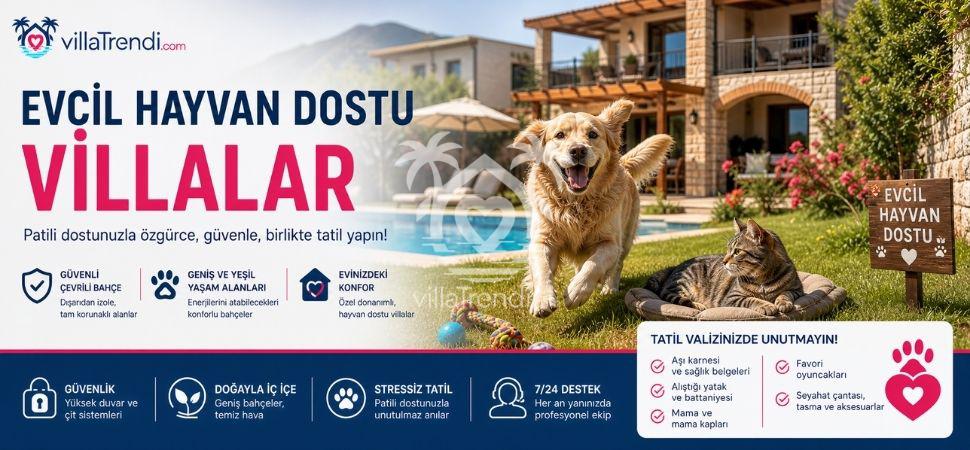 Evcil Hayvan Kabul Eden Villalar | Kedi & Köpek Dostu Tatil ✓