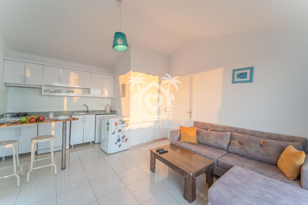 Villa Tiny Patika modern Amerikan mutfak ve aydınlık salon.