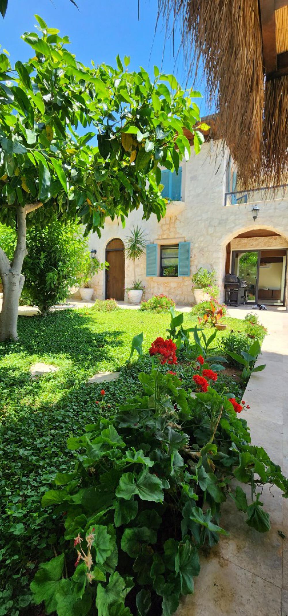 Villa Rubick bahçe alanı 